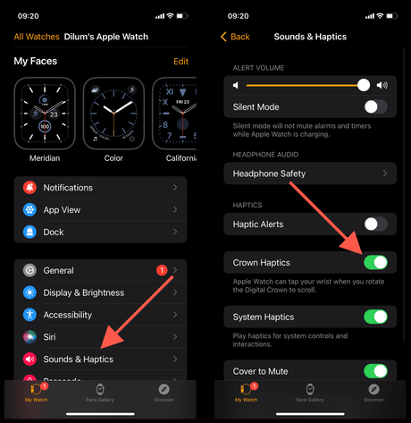 How to Work Apple Watch Digital Crown