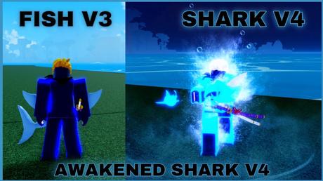 Shark v4 vs Angel v4 in Blox Fruits