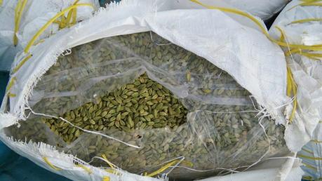 Cardamom valued  over Rs.15 mn smuggled from India detected