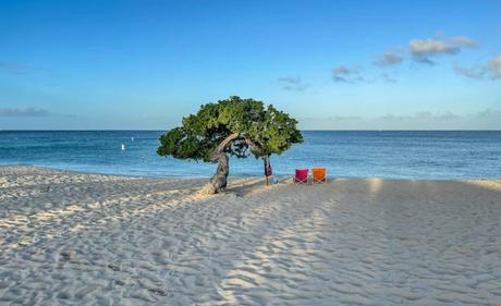 Recap Is December a Good Time to Book a Trip to Aruba