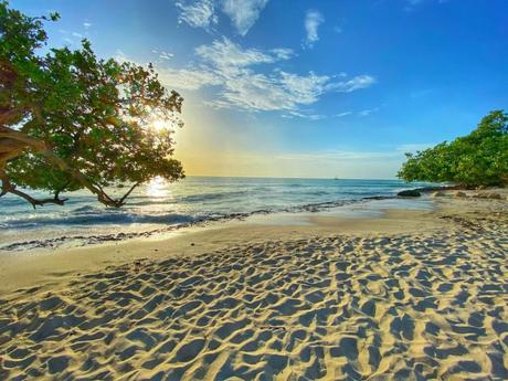 Sunshine In December In Aruba