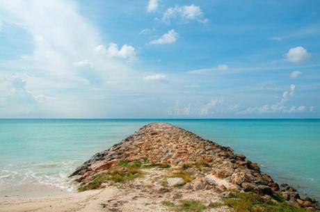 Aruba Rainfall In January