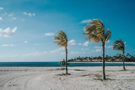 Rainfall In Aruba In June