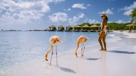 Final Thoughts: Is June a Good Time to Visit Aruba?