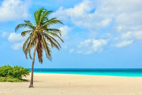 Final Thoughts Should You Travel to Aruba in May
