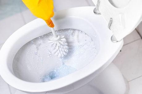 Clean the toilet bowl with a toilet brush