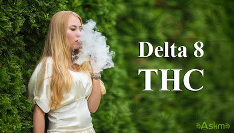 How to Choose the Best Delta 8 Disposable Brands in the Market?