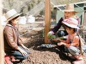 Five Reasons Move Organic Farming