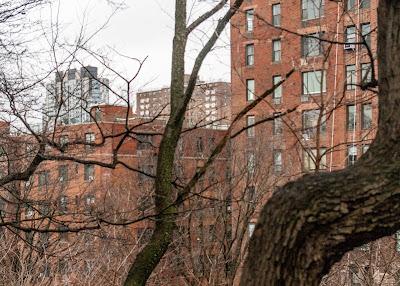 Friday Fotos: A walk up into Central Park and back (Strangers Gate)