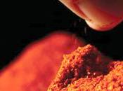 Daughter Attacks Raiding Cops with Chilli Powder