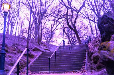 Central Park Make-Over