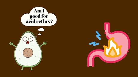 Avocado Acid Reflux: Is Avocado Good For Acid Reflux? 3 Is Avocado Good for Acid Reflux