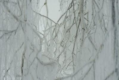 see | art installation