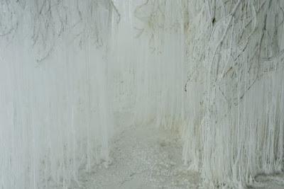 see | art installation