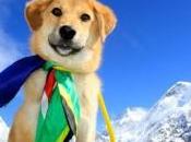 Meet First Climb Everest (Spoiler: He’s Adorable)