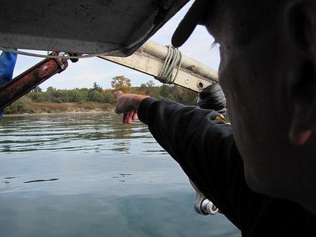 Lummi tribal council member Jay Julius points to an area of Cherry Point that was disturbed by Pacific International Terminals. Credit: Ashley Ahearn