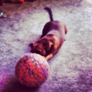 #thankfulproject: Day 27 Simple Pleasure