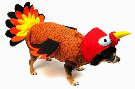 The Most ADORABLE DOGS Dressed in Thanksgiving Costumes!