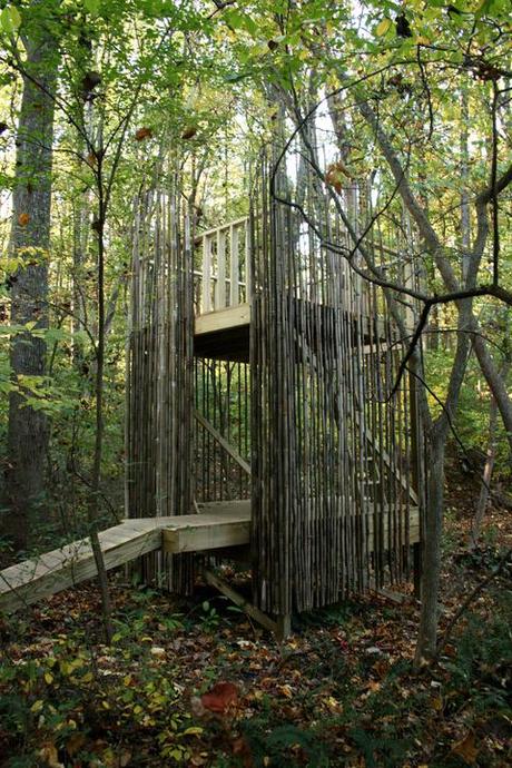 tree house