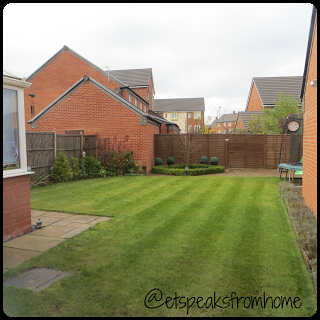 Preparing the Lawn for Winter