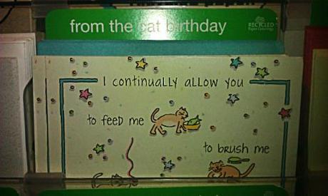 This is a section specifically for birthday carts sent on behalf of cats.  We live in a wonderful world.