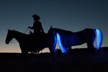 tail-lights-horse-1