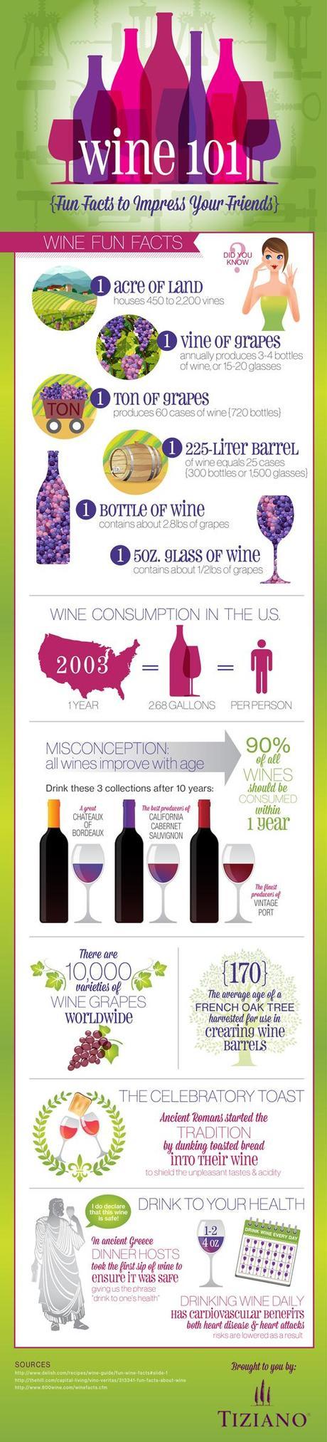 Fun Wine Facts For Your Thanksgiving Conversation