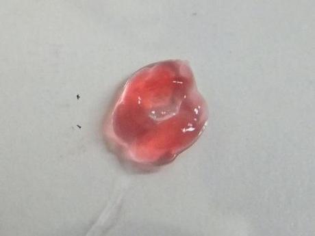 3D/4D Live Cell Printing cell printing2