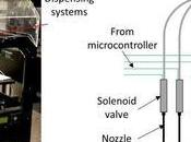 3D/4D Live Cell Printing