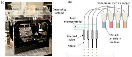 3D/4D Live Cell Printing cell printing1