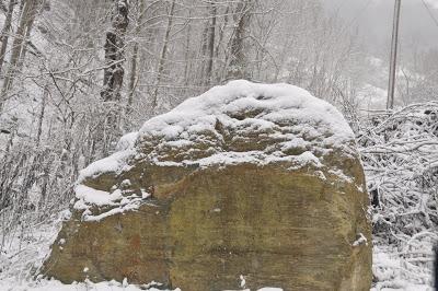 Snow Pictures from Wednesday