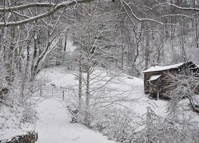 Snow Pictures from Wednesday