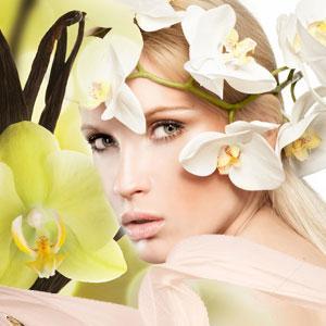 vanilla silk fragrance oil