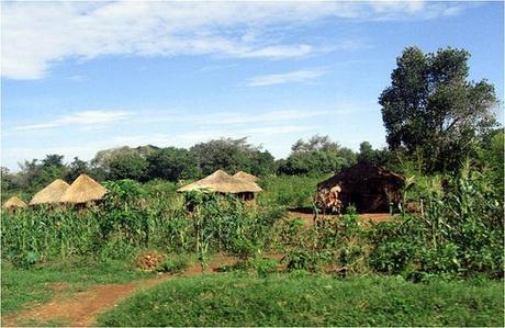 Village in Uganda