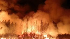 The Rim Fire in the Stanislaus National Forest near in California began on Aug. 17, 2013 and is under investigation. The fire has consumed approximately 149, 780 acres and is 15% contained/U.S. Forest Service photo.