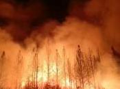 Reframing Debate: Colorado’s End-Run Around Fire-Prone Frontierism