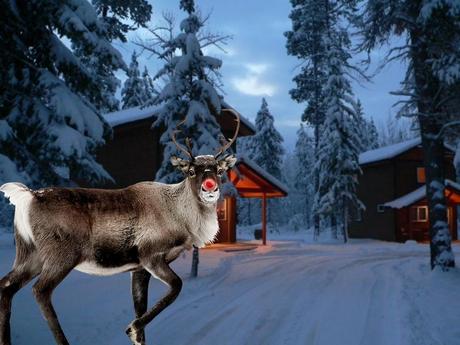 Add Santa or Rudolph to Your Holiday Photos with iCaughtSanta.com!