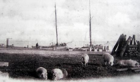 Ferry 'cross the Gironde: the Lamarque-Blaye boat connection (and ghost railway station)