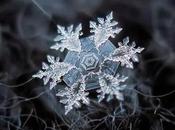 Rembrandt Flash Mob, Social Media Jesus, Snowflake