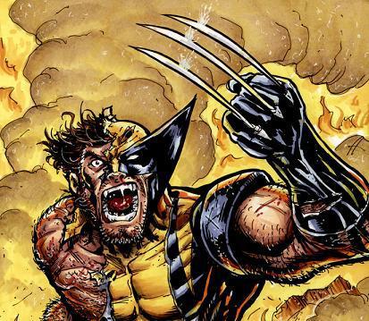 Wolverine angry