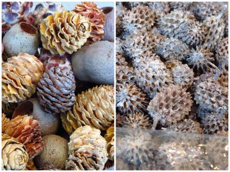 pine cones