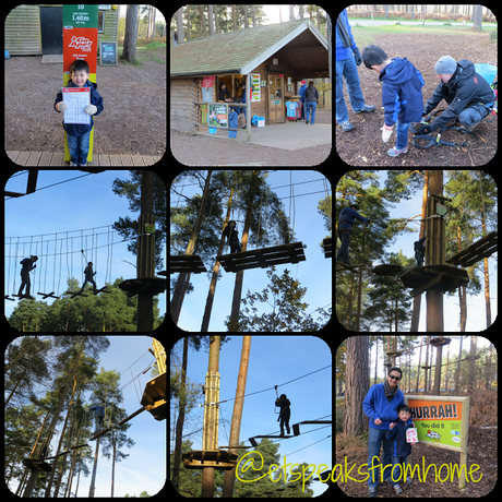 Review: Go Ape Tree Top Junior adventure - Cannock Chase