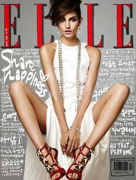 Cover Lover: Lily Aldridge on Elle Korea December 2013