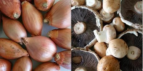 Mushroom & Chevin Pithivier