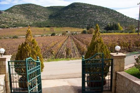 Greece 2013 (16 of 327) Greece 2013 (16 of 327)