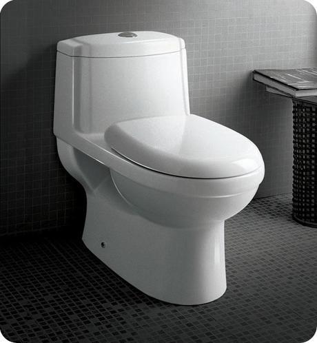 5 Things You Need to Know About Your Toilet The Fresco Dorado Elongated One-Piece Toilet