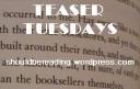 Teaser Tuesdays: Mad About the Boy