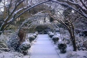 Creating the Perfect Winter Wonderland christmas gardens