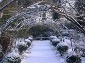 Creating Perfect Winter Wonderland