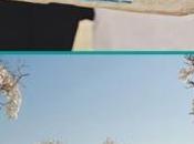 Beach Weddings